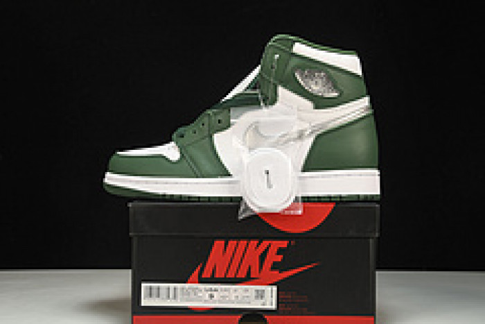 Air Jordan 1 Gorge Green DZ5485-303