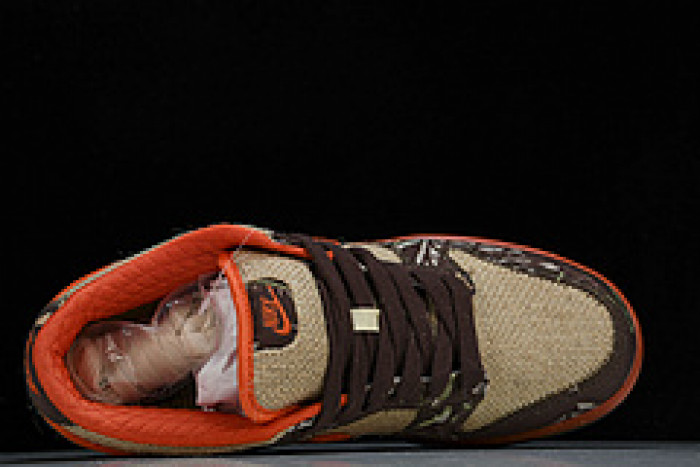 NIKE DUNK LOW PRO SB 304292-281