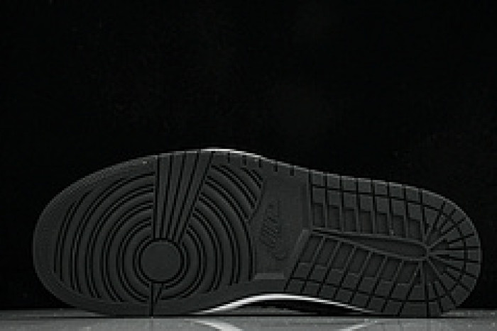 Air Jordan 1 L&V SNEAKERS DL2211 001