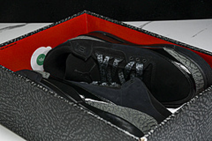 AIR JORDAN 3 CK9246-168