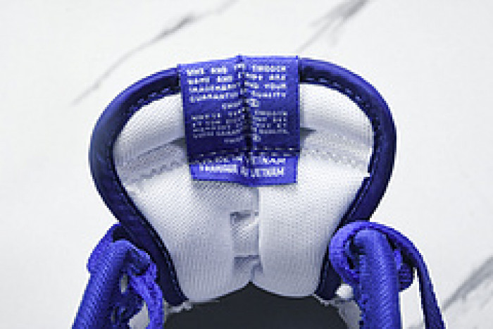 Nk Dunk Low "Polar Blue" DV0833 103