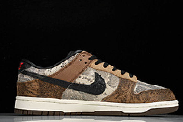 Nike Dunk Low CO.JP 2023 FJ5434-120