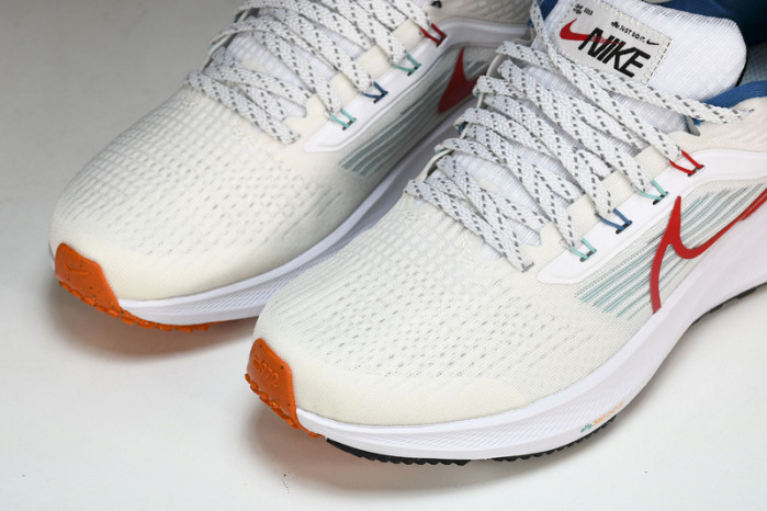 Nk Air Zoom Pegasus 39 FD4322-161