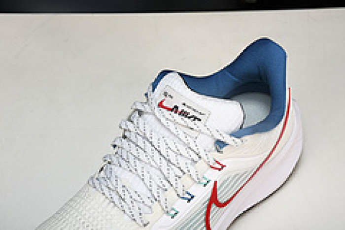 Nk Air Zoom Pegasus 39 FD4322-161