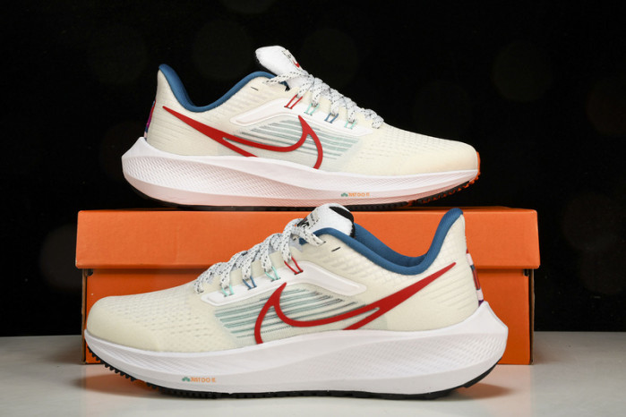 Nk Air Zoom Pegasus 39 FD4322-161