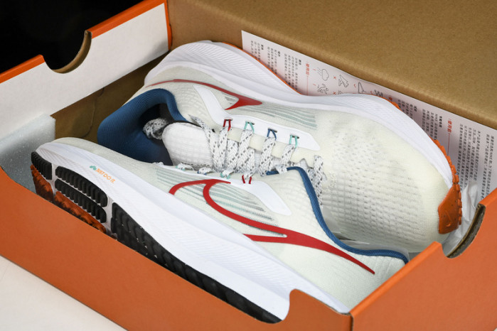 Nk Air Zoom Pegasus 39 FD4322-161