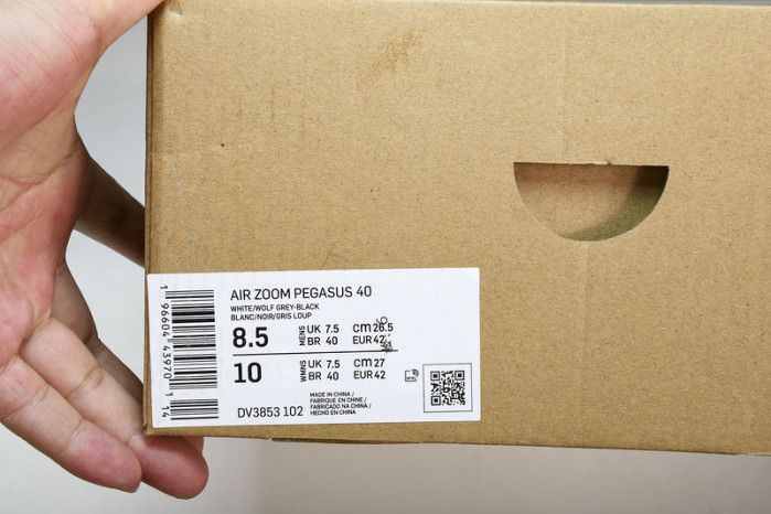 NK Air Zoom Pegasus 40 DV3853-102