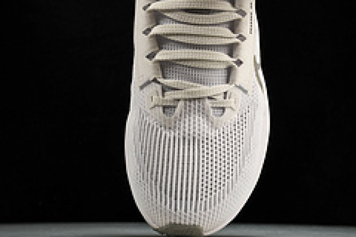 NK Air Zoom Pegasus 40 DV3853-102