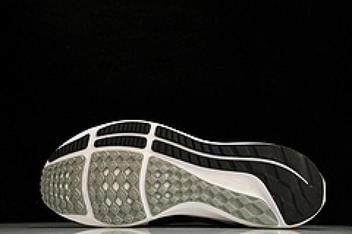 NK Air Zoom Pegasus 40 DV3853-102