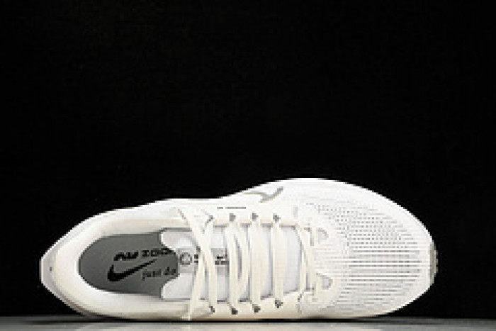 NK Air Zoom Pegasus 40 DV3853-102