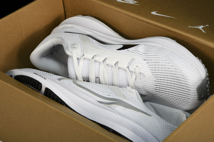 NK Air Zoom Pegasus 40 DV3853-102