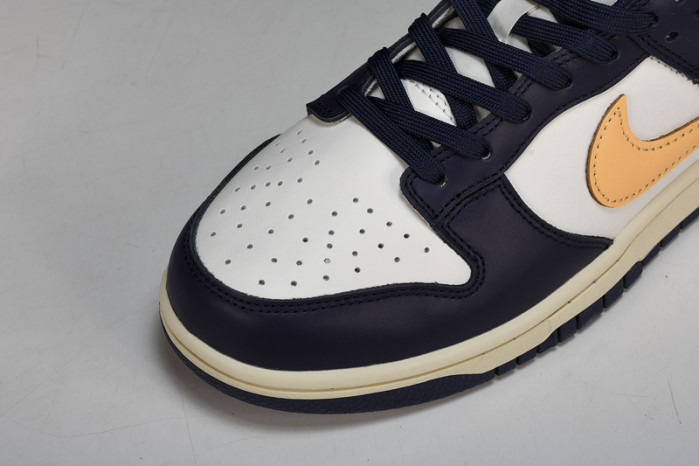 NK DUNK LOW FV8106-181