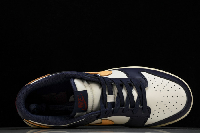 NK DUNK LOW FV8106-181