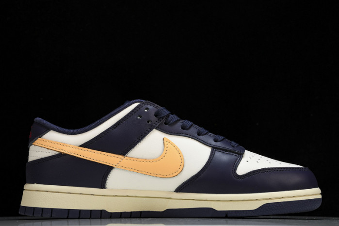 NK DUNK LOW FV8106-181