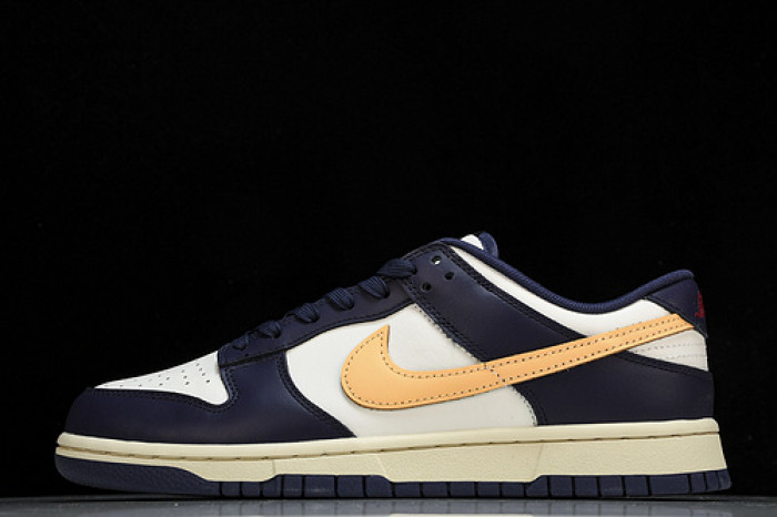NK DUNK LOW FV8106-181