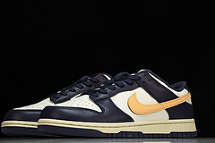 NK DUNK LOW FV8106-181