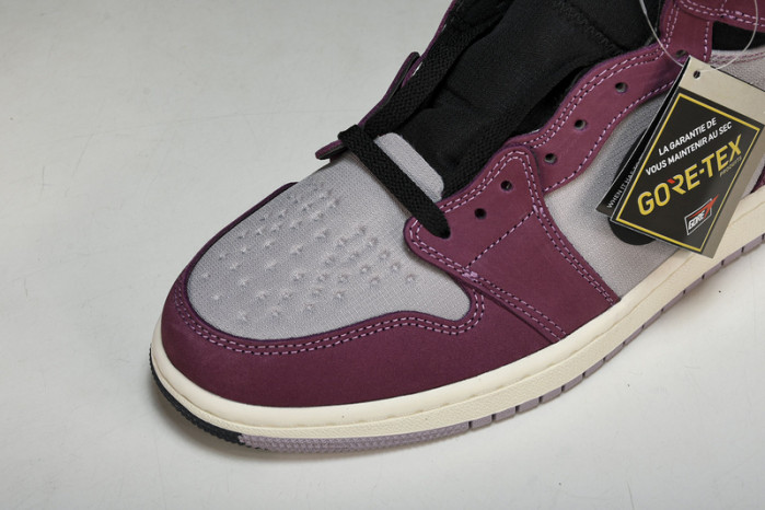 Air Jordan 1 DB2889-500V