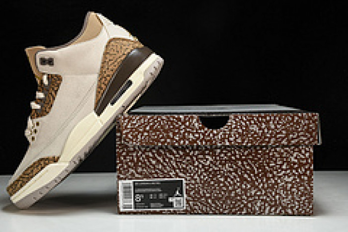 Jordan 3 Retro Palomino - CT8532-102