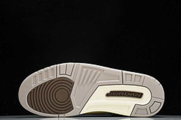 Jordan 3 Retro Palomino - CT8532-102