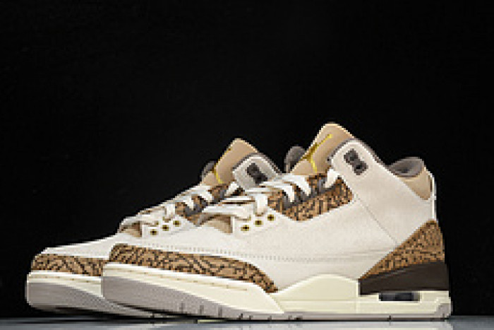Jordan 3 Retro Palomino - CT8532-102