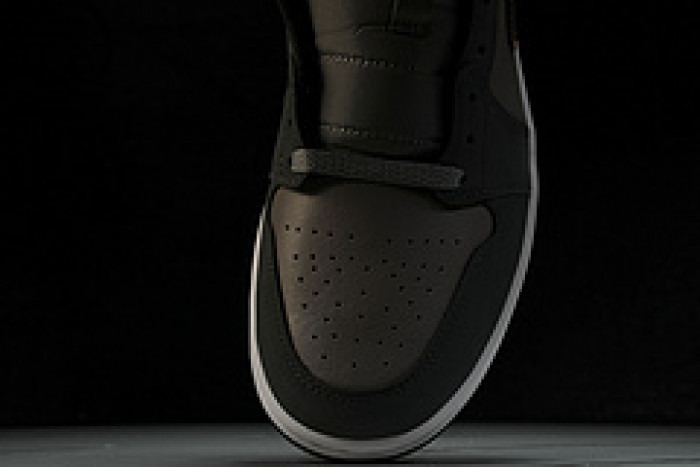 Air Jordan 1 Mid FQ8338-017