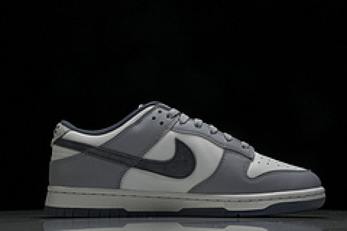 Nk Dunk Low "Light Carbon"​ FJ4188-100