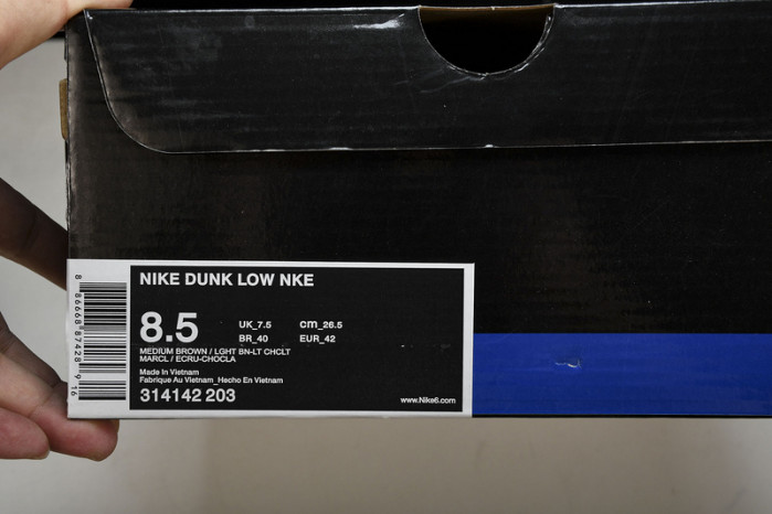 Nk Dunk Low SB 314142-203