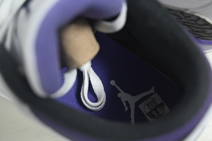 Air Jordan 3 Dark Iris CT8532-105