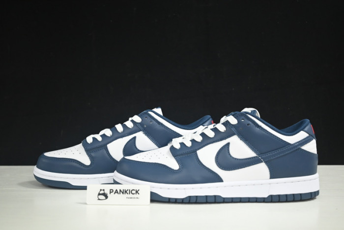 Nike Dunk Low Valerian Blue - DD1391-400
