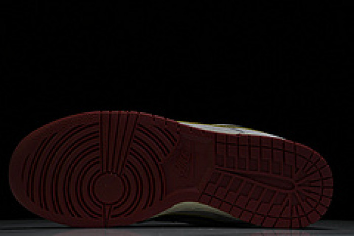 NIKE DUNK LOW PRO SB 304292 272