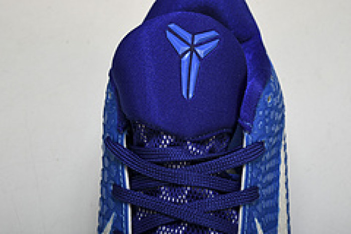 NIKE Kobe VI Protro 6 CW2190 111