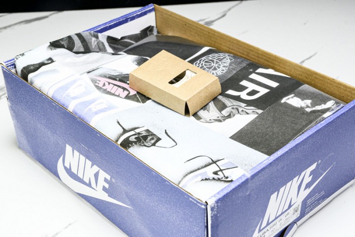 Air Jordan 1 High OG DZ5485-100