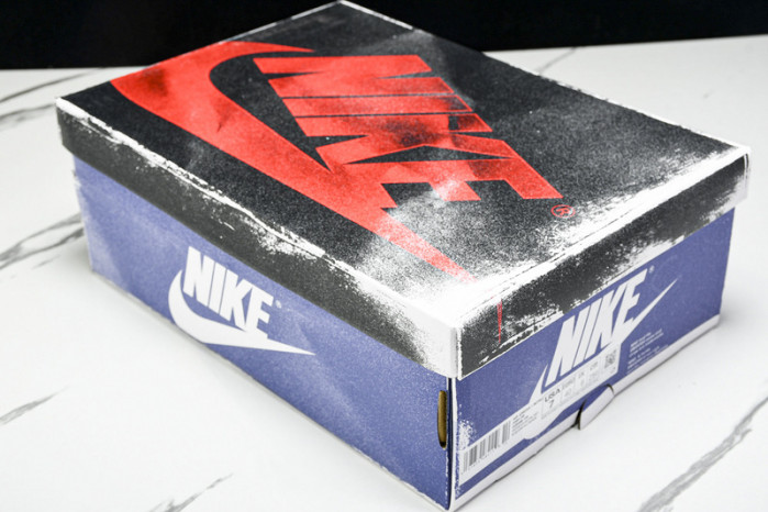 Air Jordan 1 High OG DZ5485-100