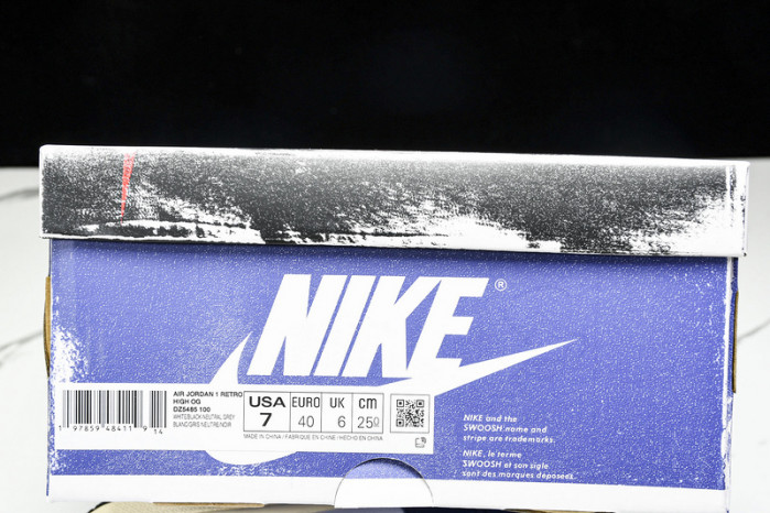 Air Jordan 1 High OG DZ5485-100