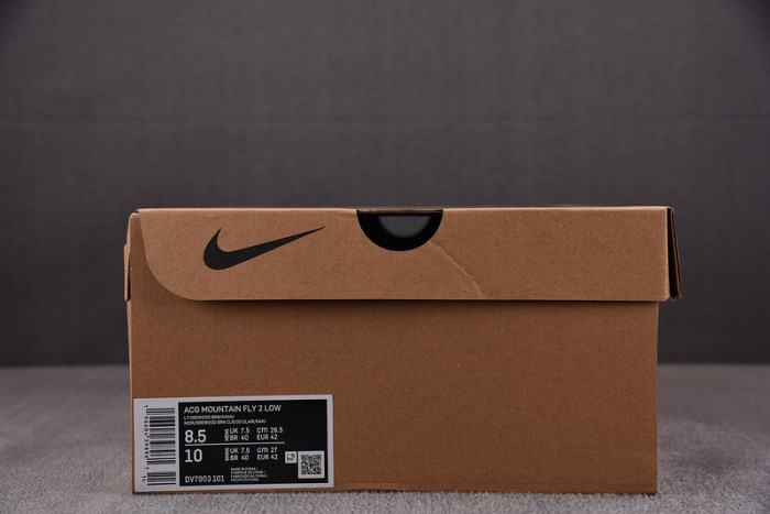 Nk ACG Mountain Fly 2 Low Light Orewood Brown DV7903-101