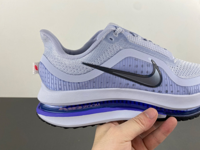 Nike Pegasus Premium 